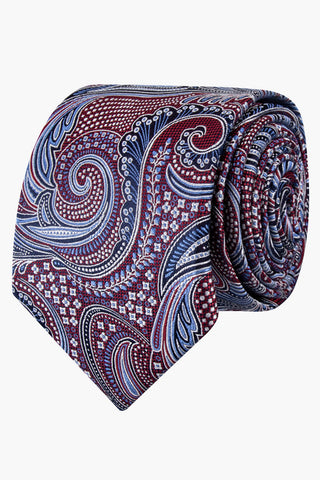 Abelard | 100% Paisley Silk Tie