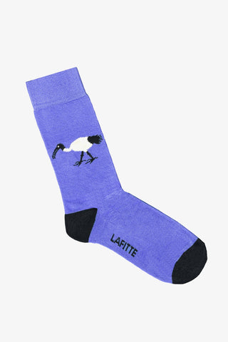 LAFITTE | Socks Ibis Purple 6-10 