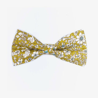 Sunny Apparel | Franklin Bow Tie Green ALL 