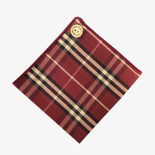 Sunny Apparel | Hagerstown Pocket Square Red ALL 